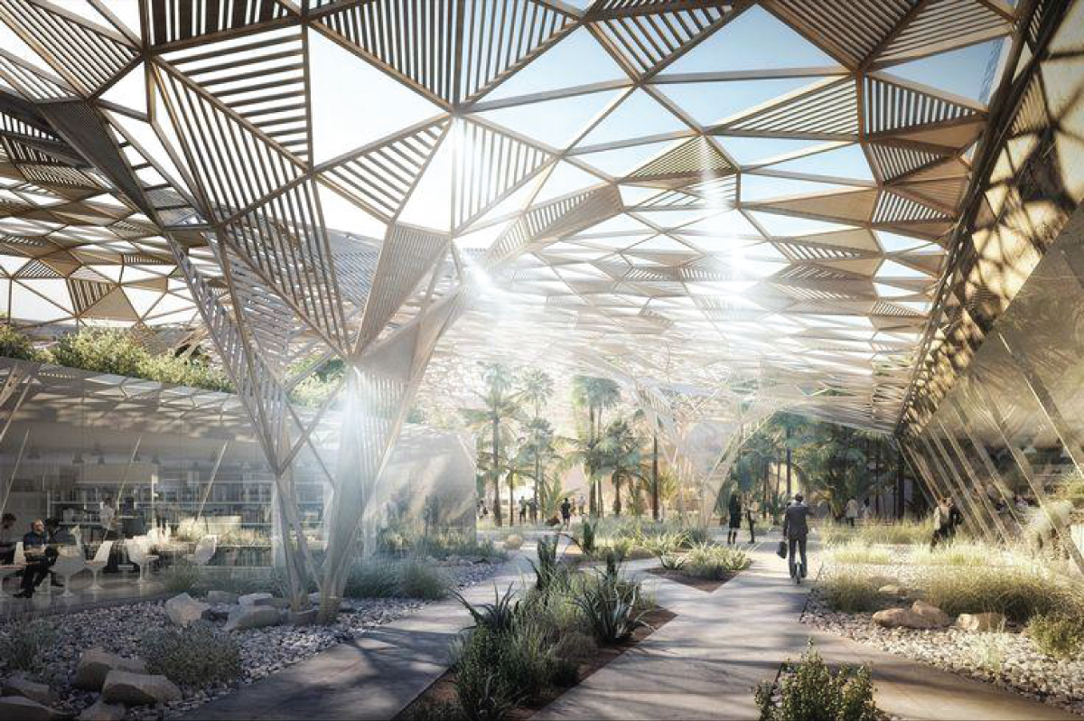 plan-maestro-arboles-render